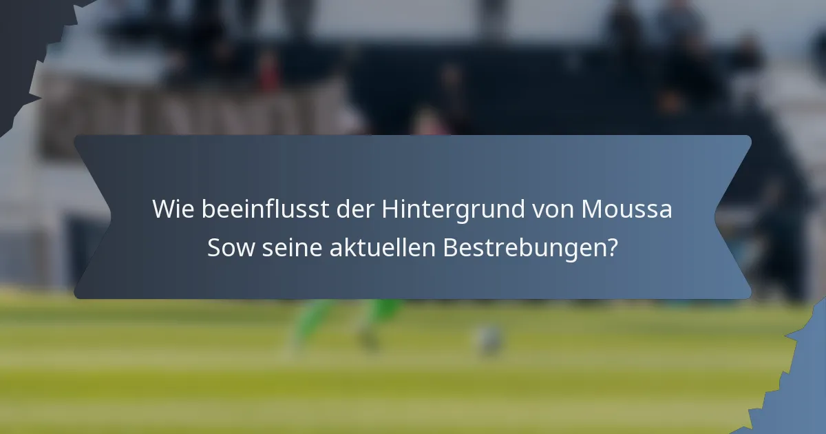 Wie beeinflusst der Hintergrund von Moussa Sow seine aktuellen Bestrebungen?